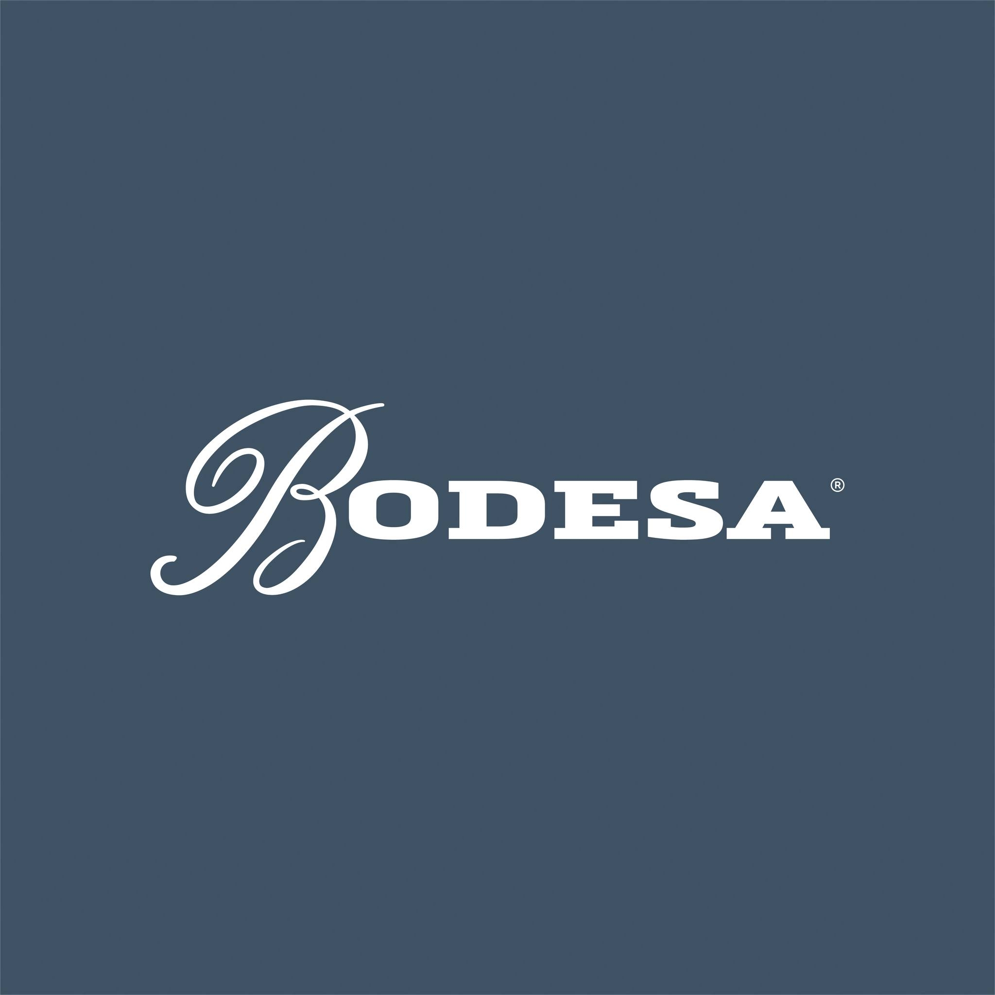Logo BODESA